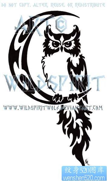 时尚潮流的一幅图腾猫头鹰纹身图片