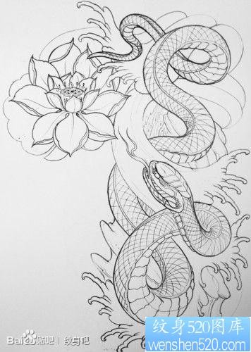潮流很帅的一幅半甲蛇纹身手稿线稿