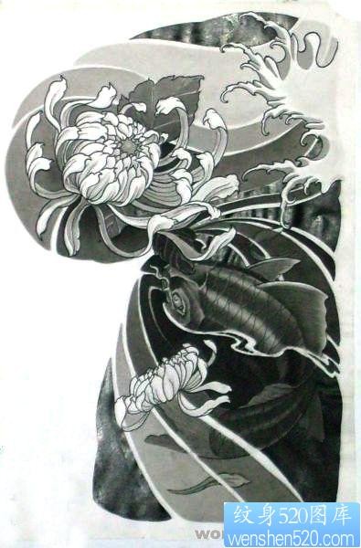 中国传统纹身图片之半胛鲤鱼菊花纹身图片作品