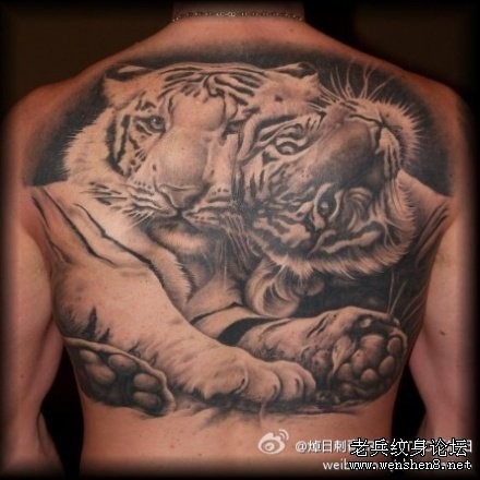 老虎纹身图片：背部老虎纹身图片纹身作品