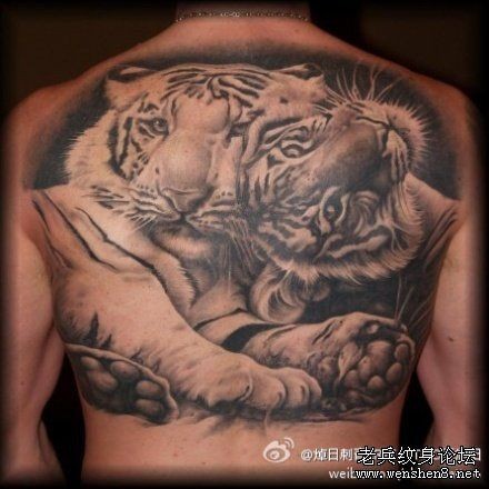 背部老虎纹身图片