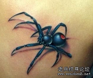 背部彩色蜘蛛纹身图片