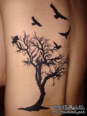 背部图腾树小鸟纹身图片