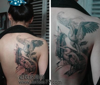 美女背部经典的白鹤纹身图片
