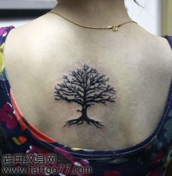流行的图腾树纹身图片