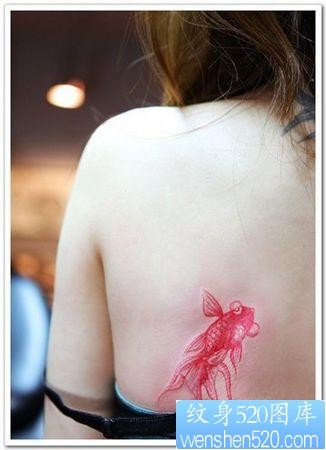 美女背部彩色小金鱼纹身图片