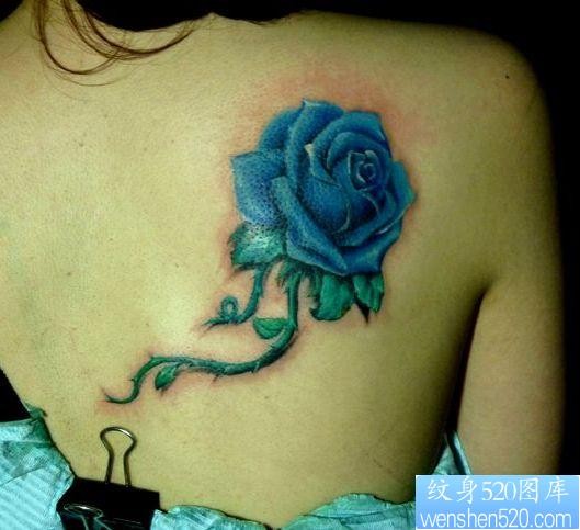 美女背部好看的彩色玫瑰花纹身图片