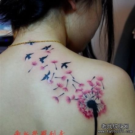 女孩子肩背一幅蒲公英与鸽子纹身图片
