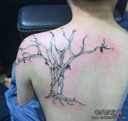 一幅背部精美潮流的图腾树纹身图片