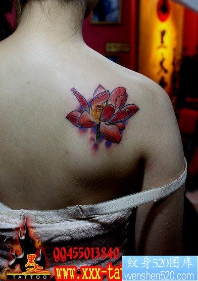 一幅女孩子背部漂亮的彩色莲花纹身图片