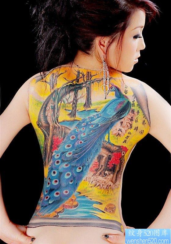 美女背部漂亮的彩色满背孔雀纹身图片