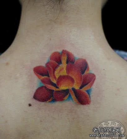 美女背部好看的彩色莲花纹身图片