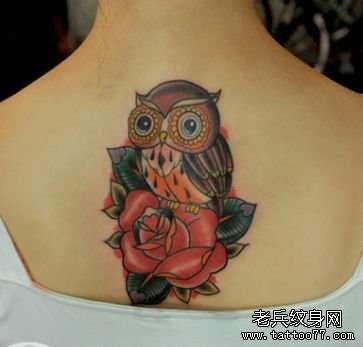 女孩子背部欧美风格猫头鹰与玫瑰花纹身图片