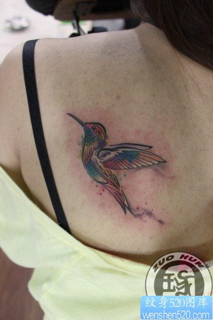 女人背部漂亮的彩色小蜂鸟纹身图片