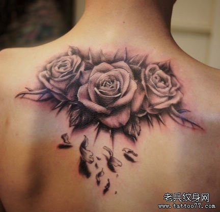 女人背部好看的黑灰玫瑰花纹身图片