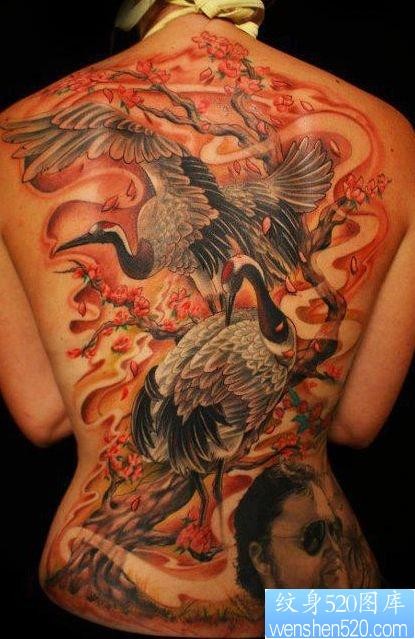 一幅美女满背白鹤仙鹤纹身图片