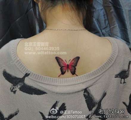 美女背部漂亮的彩色蝴蝶纹身图片