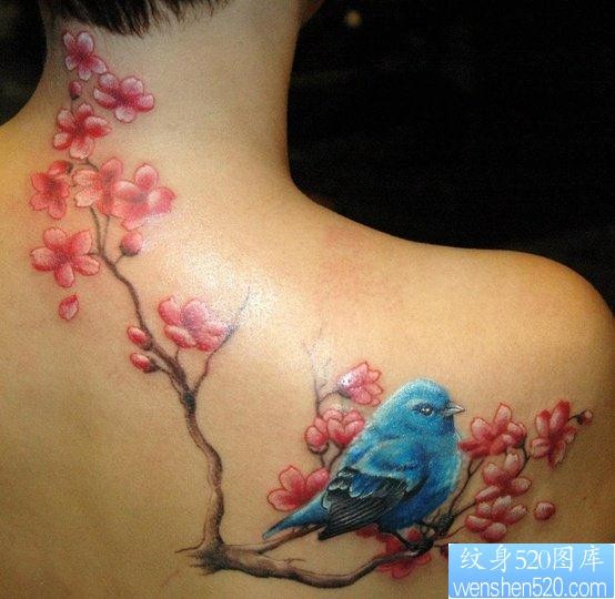 美女背部漂亮精美的彩色喜鹊梅花纹身图片