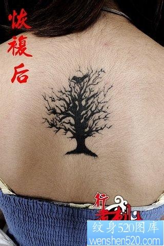 女人背部精美的图腾树与小鸟纹身图片
