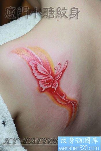 女人背部漂亮精美的彩色蝴蝶纹身图片
