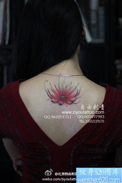 女人背部漂亮的莲花纹身图片