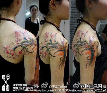 美女手臂到肩背漂亮的彩色花卉纹身图片