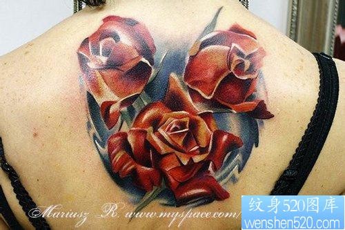 女人背部潮流精美的欧美彩色玫瑰花纹身图片