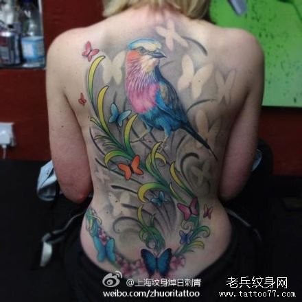 女人背部好看漂亮的小鸟纹身图片