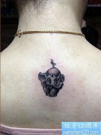 女人喜欢的背部可爱小巧的大象纹身图片