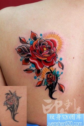 女人背部流行潮流的玫瑰花纹身图片