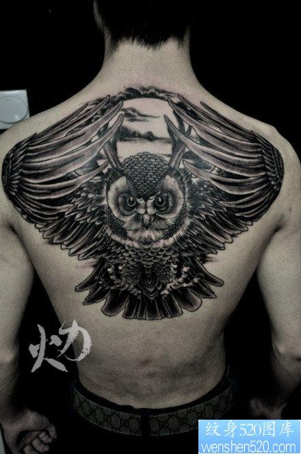 背部流行经典的半背猫头鹰纹身图片