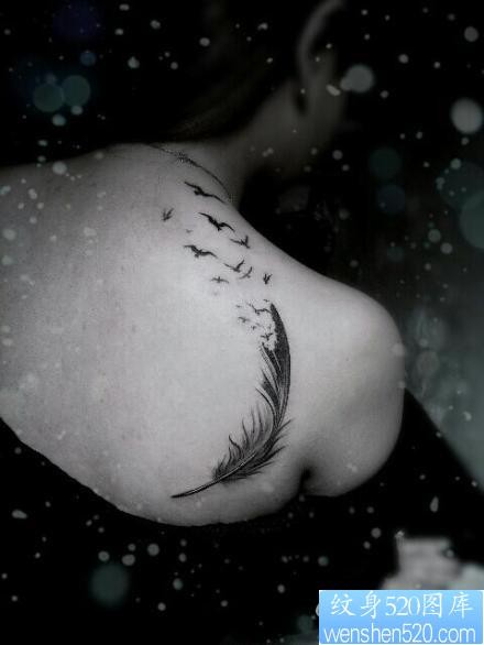 女人背部流行潮流的羽化燕纹身图片