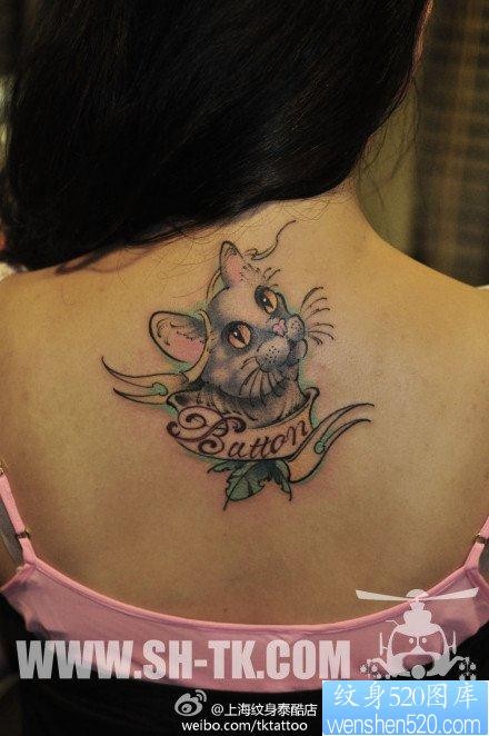 女人后背时尚经典的猫咪纹身图片