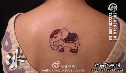 女人后背时尚小巧的小象纹身图片
