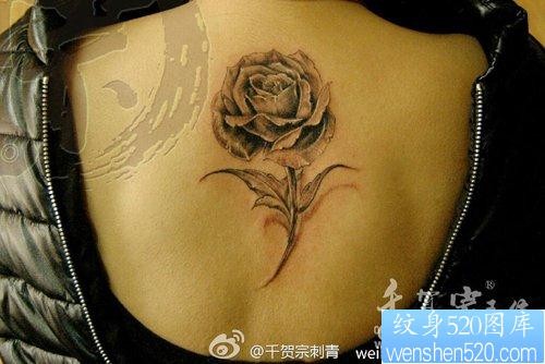 女人后背潮流精美的黑灰玫瑰花纹身图片