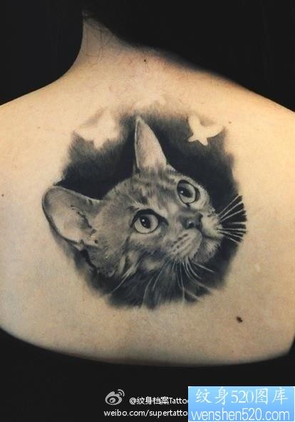 女人后背潮流经典的写实猫咪纹身图片