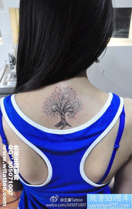 女人后背小巧精美的小树纹身图片