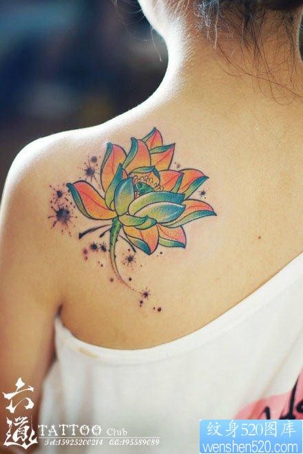 女人后背漂亮的彩色传统莲花纹身图片