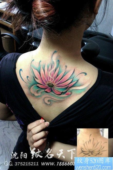 女人后背唯美漂亮的彩色莲花纹身图片
