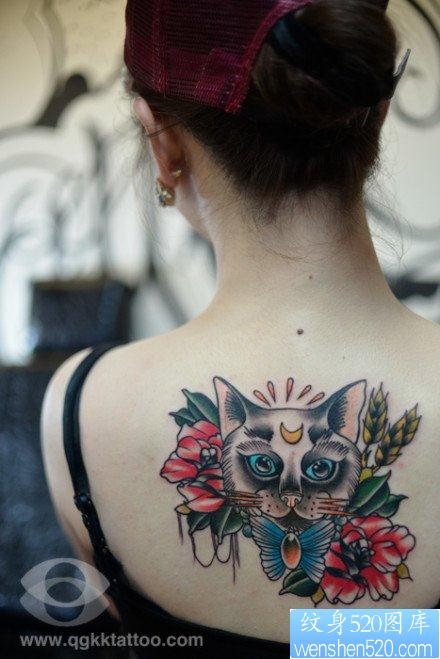女人后背一幅时尚的school猫咪纹身图片