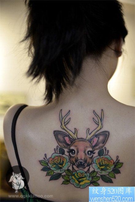 女人后背时尚潮流的小鹿纹身图片