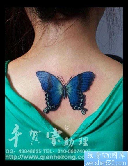 女人后背潮流唯美的彩色蝴蝶纹身图片