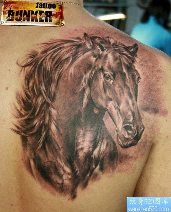 后背上一幅奔马纹身图片