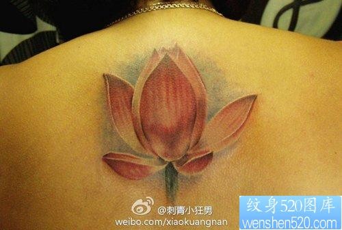女人后背唯美写实的彩色莲花纹身图片