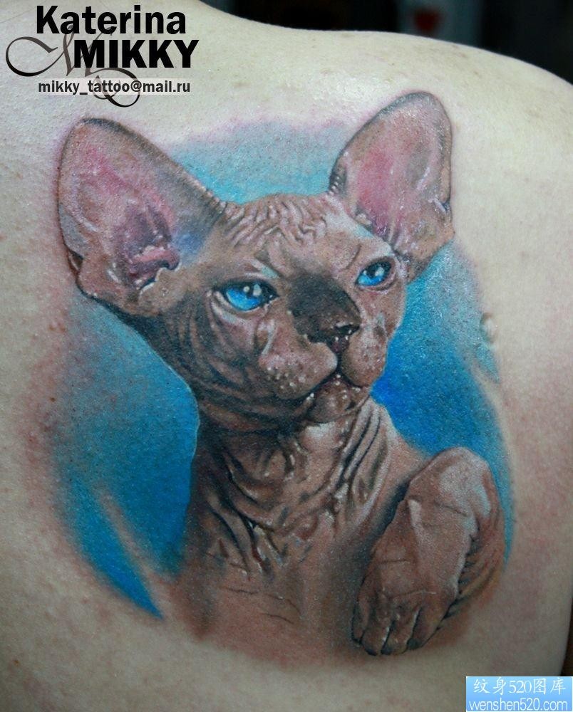 后背一幅写实的猫咪纹身图片