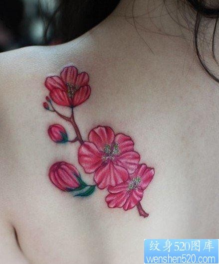 男人后背漂亮唯美的花卉纹身图片