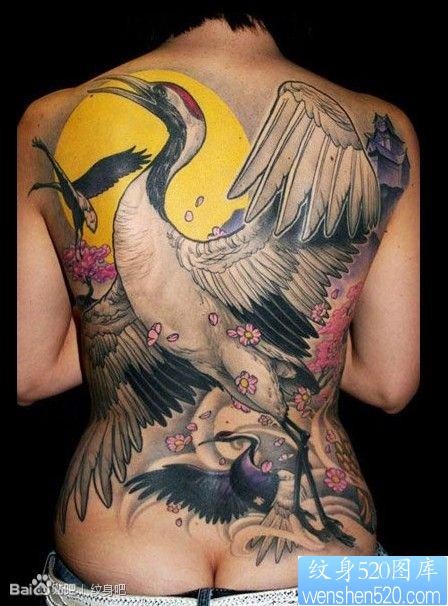 时尚经典的满背白鹤仙鹤纹身图片