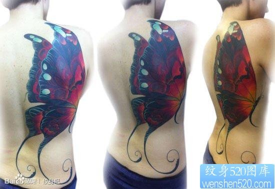 女人后背漂亮时尚的蝴蝶纹身图片