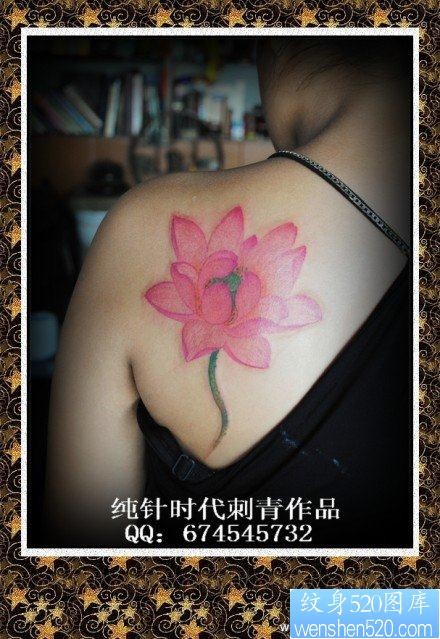 女人后肩背好看的粉色莲花纹身图片