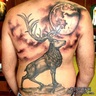 推荐一幅好看的满背鹿纹身图片